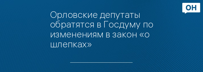 Орловские депутаты обратятся в Госдуму по изменениям в закон «о шлепках»