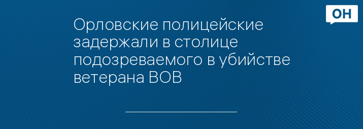 Орловские полицейские задержали в столице подозреваемого в убийстве ветерана ВОВ