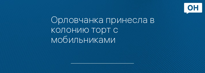 Орловчанка принесла в колонию торт с мобильниками