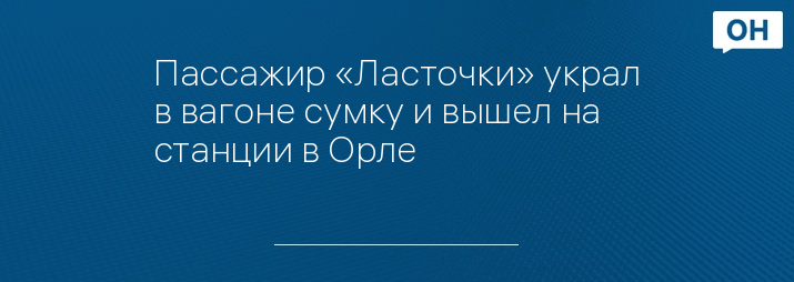 Пассажир «Ласточки» украл в вагоне сумку и вышел на станции в Орле