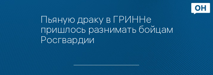 Пьяную драку в ГРИННе пришлось разнимать бойцам Росгвардии