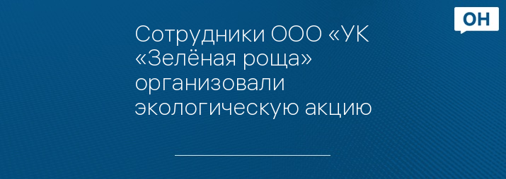 Сотрудники ООО «УК «Зелёная роща» организовали экологическую акцию
