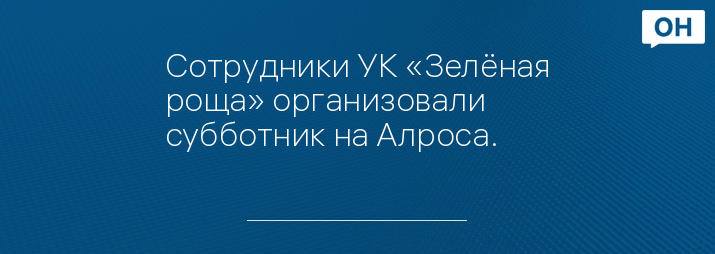 Сотрудники УК «Зелёная роща» организовали субботник на Алроса.