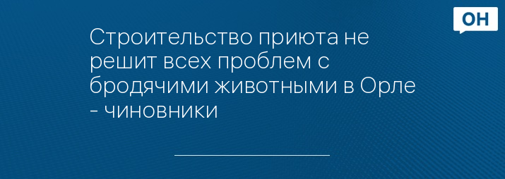 Строительство приюта не решит всех проблем с бродячими животными в Орле - чиновники