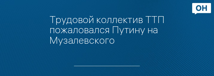 Трудовой коллектив ТТП пожаловался Путину на Музалевского