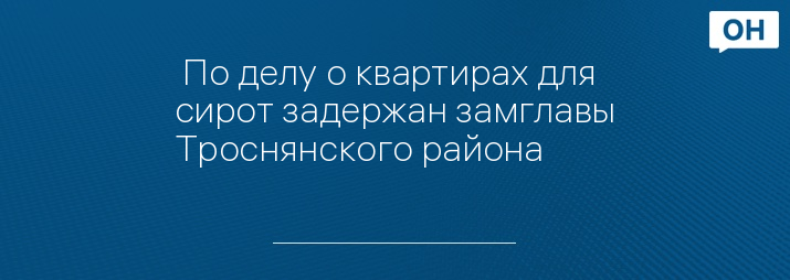  По делу о квартирах для сирот задержан замглавы Троснянского района