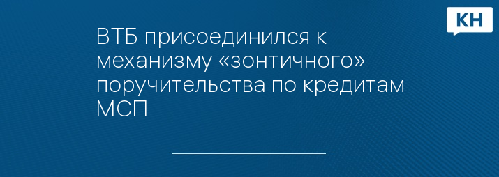 ВТБ присоединился к механизму «зонтичного» поручительства по кредитам МСП