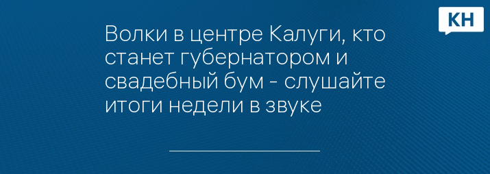 Волки в центре Калуги, кто станет губернатором и свадебный бум - слушайте итоги недели в звуке