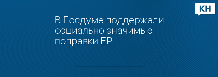 В Госдуме поддержали социально значимые поправки ЕР