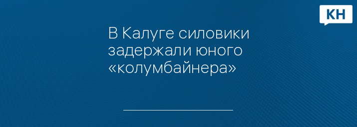 В Калуге силовики задержали юного «колумбайнера»