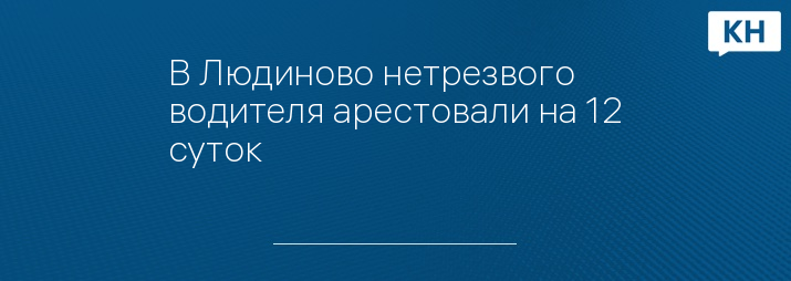 В Людиново нетрезвого водителя арестовали на 12 суток