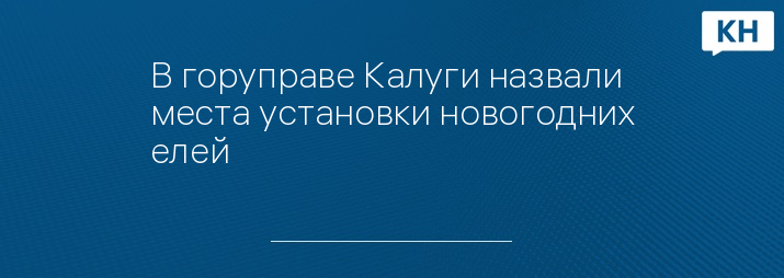 В горуправе Калуги назвали места установки новогодних елей