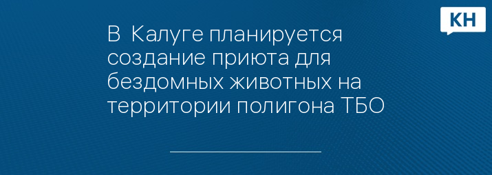 В  Калуге планируется создание приюта для бездомных животных на территории полигона ТБО