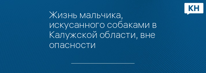 Жизнь мальчика, искусанного собаками в Калужской области, вне опасности 