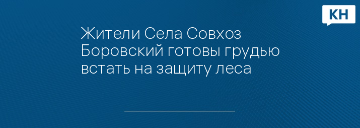 Жители Села Совхоз Боровский готовы грудью встать на защиту леса