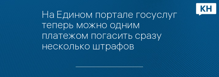 На Едином портале госуслуг теперь можно одним платежом погасить сразу несколько штрафов