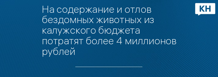 На содержание и отлов бездомных животных из калужского бюджета потратят более 4 миллионов рублей