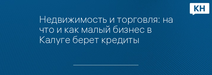 Недвижимость и торговля: на что и как малый бизнес в Калуге берет кредиты