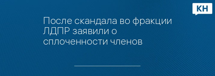 После скандала во фракции ЛДПР заявили о сплоченности членов