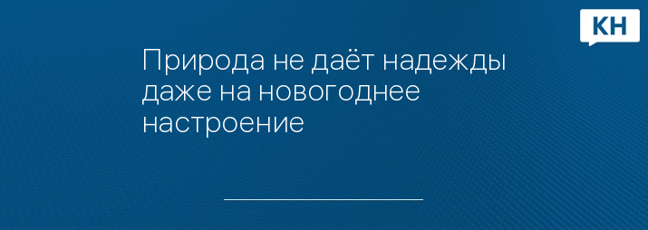 Природа не даёт надежды даже на новогоднее настроение