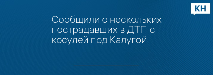 Сообщили о нескольких пострадавших в ДТП с косулей под Калугой