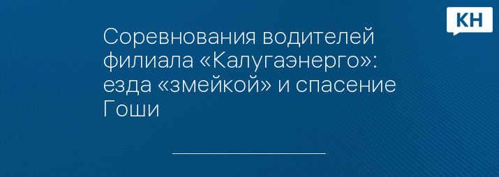 Соревнования водителей филиала «Калугаэнерго»: езда «змейкой» и спасение Гоши 