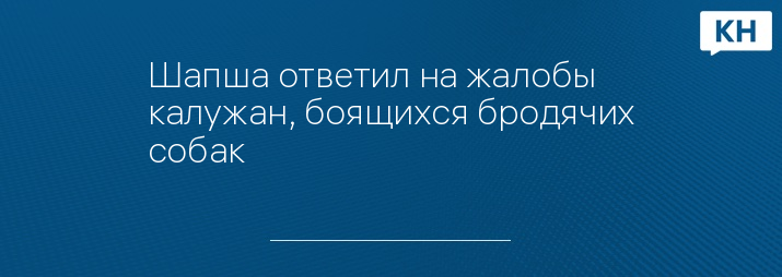 Шапша ответил на жалобы калужан, боящихся бродячих собак