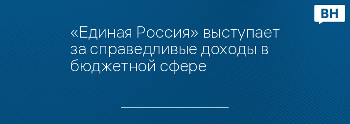 «Единая Россия» выступает за справедливые доходы в бюджетной сфере