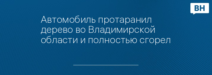 Автомобиль протаранил дерево во Владимирской области и полностью сгорел