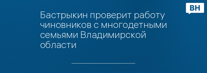 Бастрыкин проверит работу чиновников с многодетными семьями Владимирской области