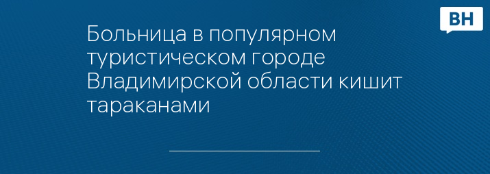 Больница в популярном туристическом городе Владимирской области кишит тараканами