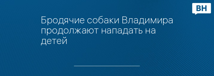 Бродячие собаки Владимира продолжают нападать на детей