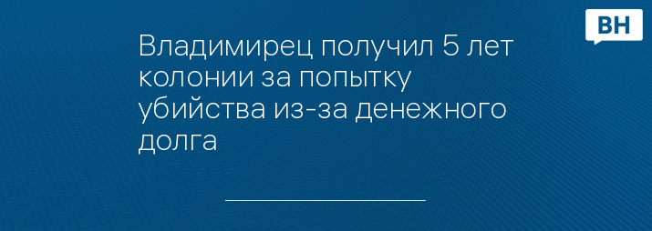 Владимирец получил 5 лет колонии за попытку убийства из-за денежного долга