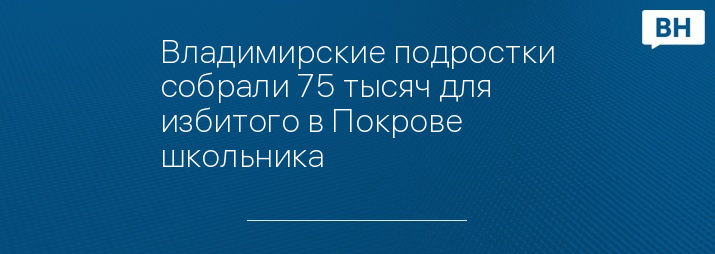 Владимирские подростки собрали 75 тысяч для избитого в Покрове школьника