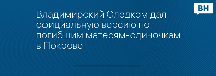 Владимирский Следком дал официальную версию по погибшим матерям-одиночкам в Покрове