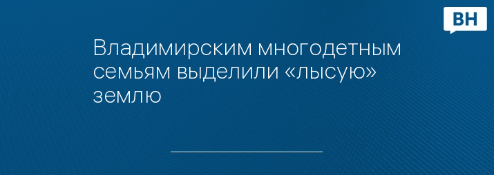 Владимирским многодетным семьям выделили «лысую» землю