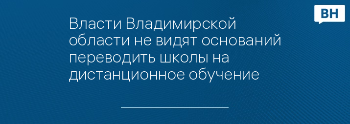 Власти Владимирской области не видят оснований переводить школы на дистанционное обучение