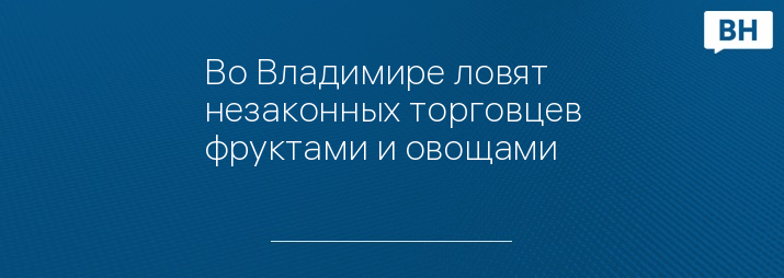 Во Владимире ловят незаконных торговцев фруктами и овощами