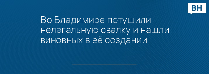 Во Владимире потушили нелегальную свалку и нашли виновных в её создании