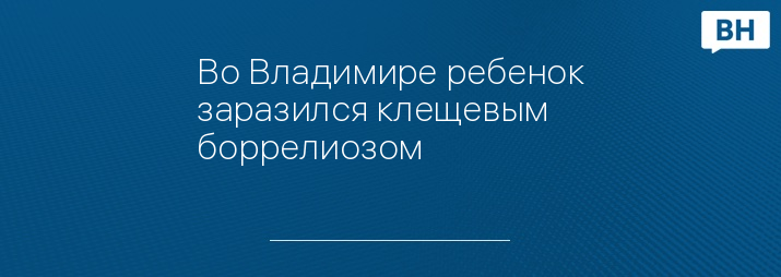 Во Владимире ребенок заразился клещевым боррелиозом