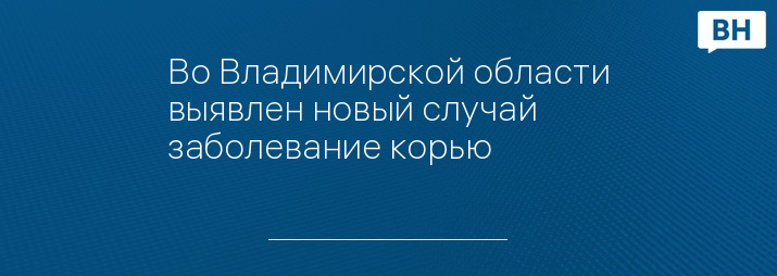 Во Владимирской области выявлен новый случай заболевание корью 