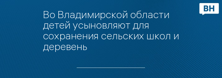 Во Владимирской области детей усыновляют для сохранения сельских школ и деревень 