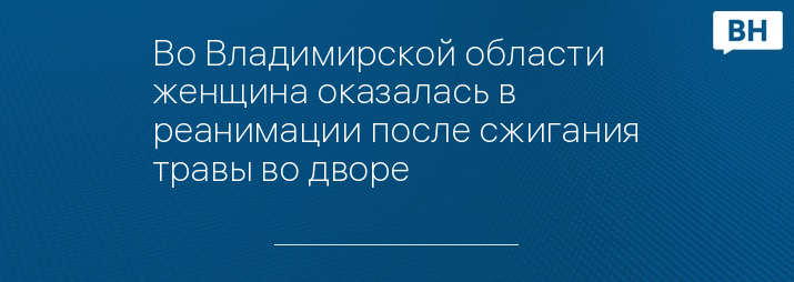 Во Владимирской области женщина оказалась в реанимации после сжигания травы во дворе