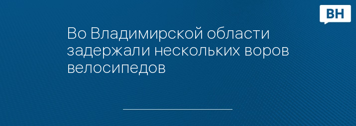 Во Владимирской области задержали нескольких воров велосипедов