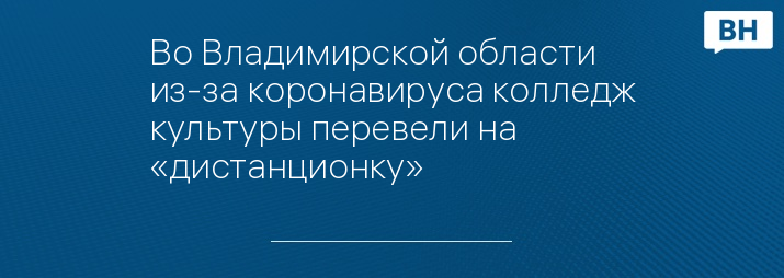 Во Владимирской области из-за коронавируса колледж культуры перевели на «дистанционку»