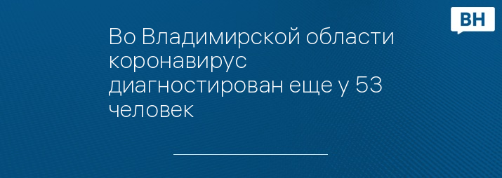 Во Владимирской области коронавирус диагностирован еще у 53 человек