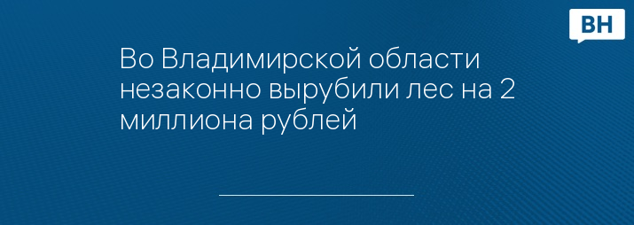 Во Владимирской области незаконно вырубили лес на 2 миллиона рублей