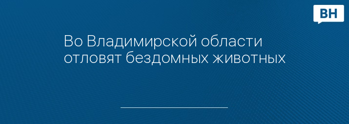 Во Владимирской области отловят бездомных животных