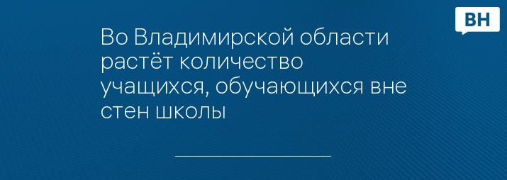 Во Владимирской области растёт количество учащихся, обучающихся вне стен школы