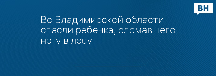 Во Владимирской области спасли ребенка, сломавшего ногу в лесу